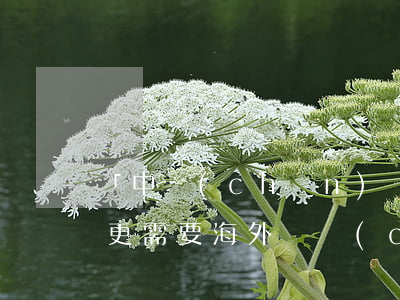 「中產(chǎn)階級(jí)」為什么更需要海外資產(chǎn)配置？為什么首選香港保險(xiǎn)？